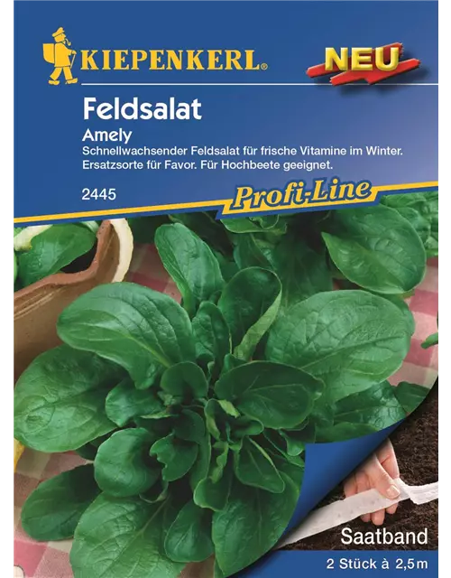 Feldsalat Saatband Amely