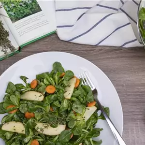 Salat mit Thymian-Honig-Dressing