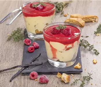 Vanille-Creme mit Thymian