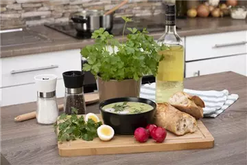 Kräutersuppe mit Petersilie