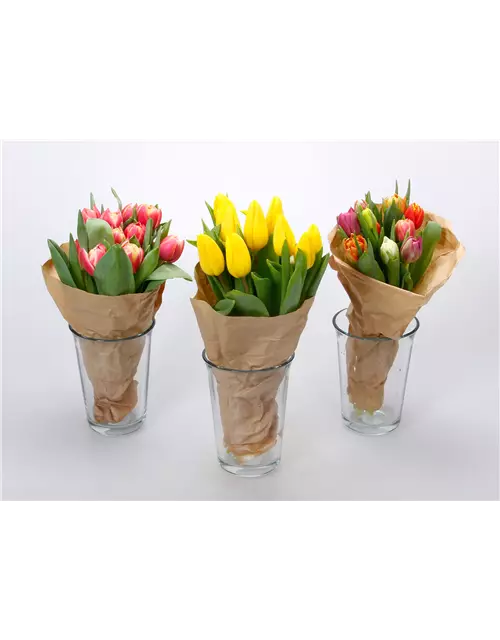 Tulpen im Bund, gelb