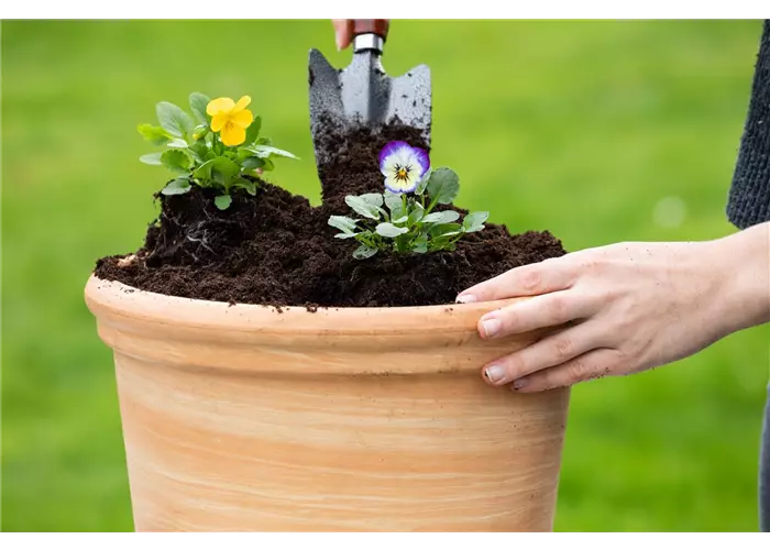 Blumenerden Blumenerden