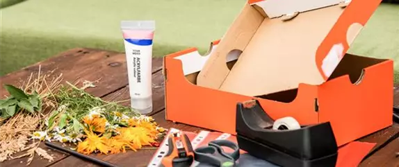 Eine Lichterbox mit Pflanzen basteln