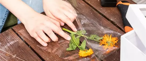 Eine Lichterbox mit Pflanzen basteln