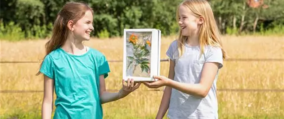 Eine Lichterbox mit Pflanzen basteln