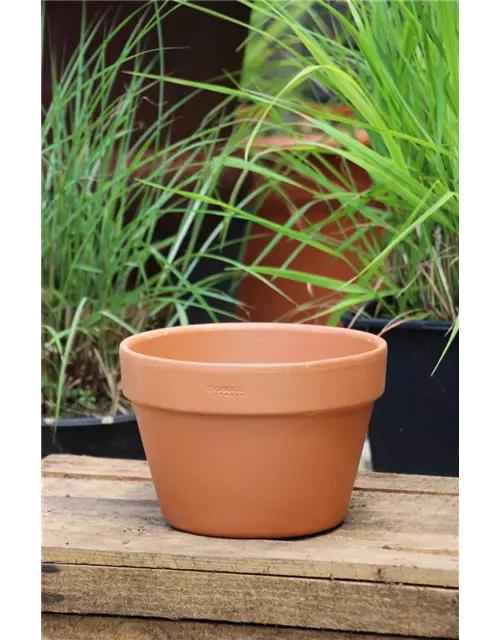 Pflanztopf Terracotta 'Mezzo vaso' halbhoch