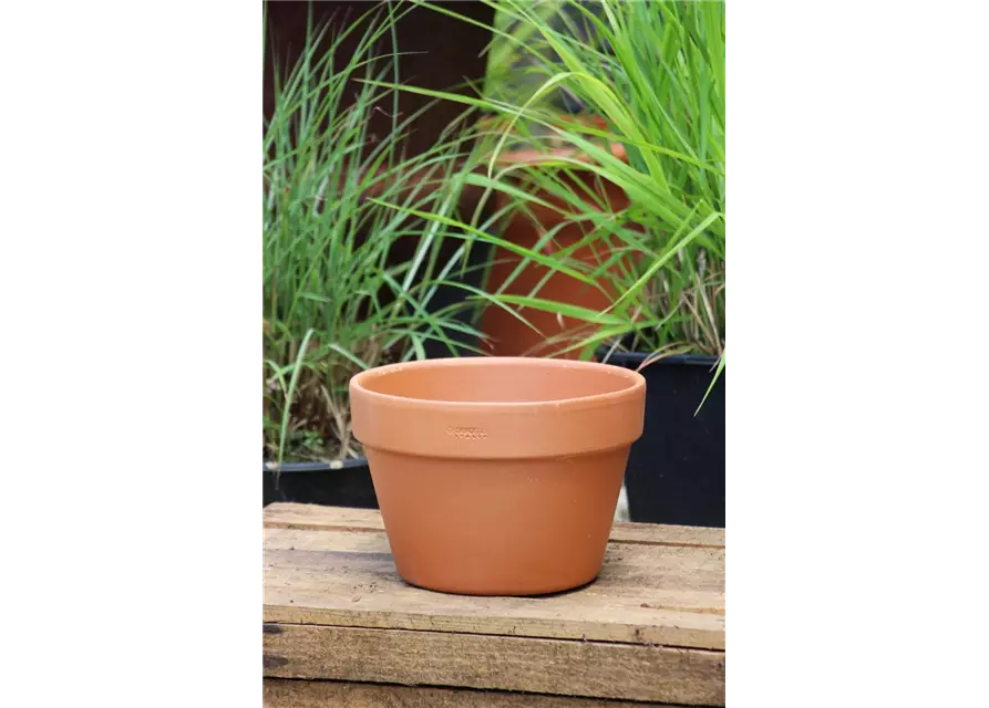 Pflanztopf Terracotta 'Mezzo vaso' halbhoch