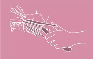 schnittblumenpflege-regelmaessig-anschneiden.jpg
