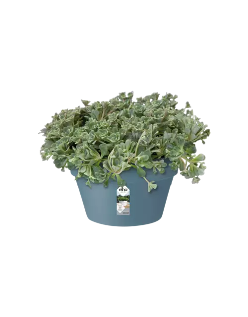 Pflanzschale 'Loft Urban', vintage-blau, 35 cm