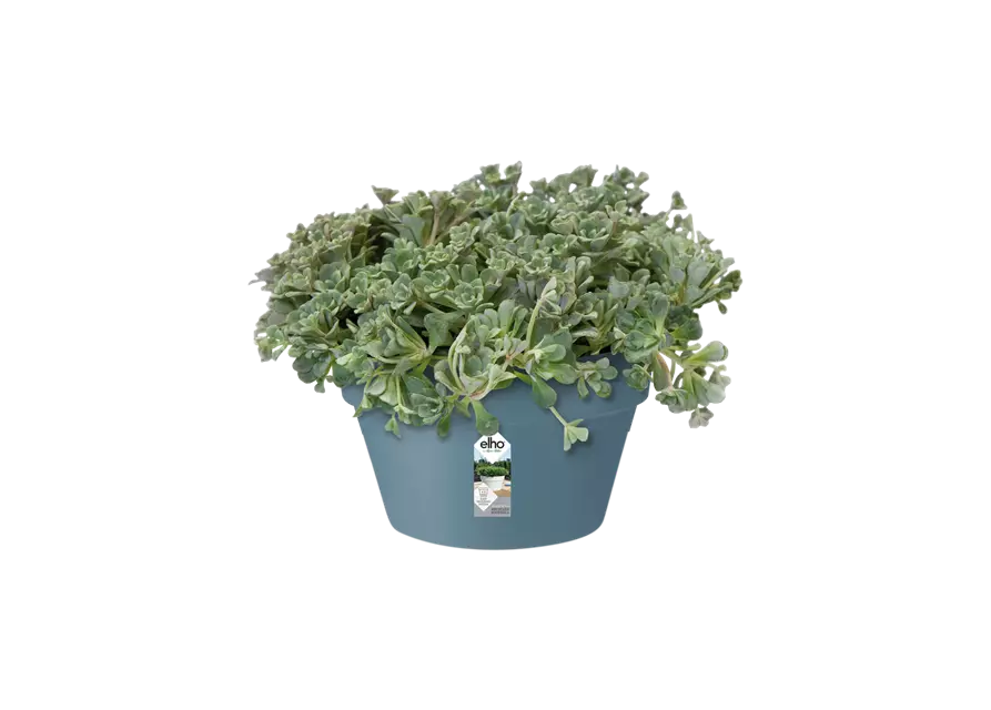 Pflanzschale 'Loft Urban', vintage-blau, 35 cm