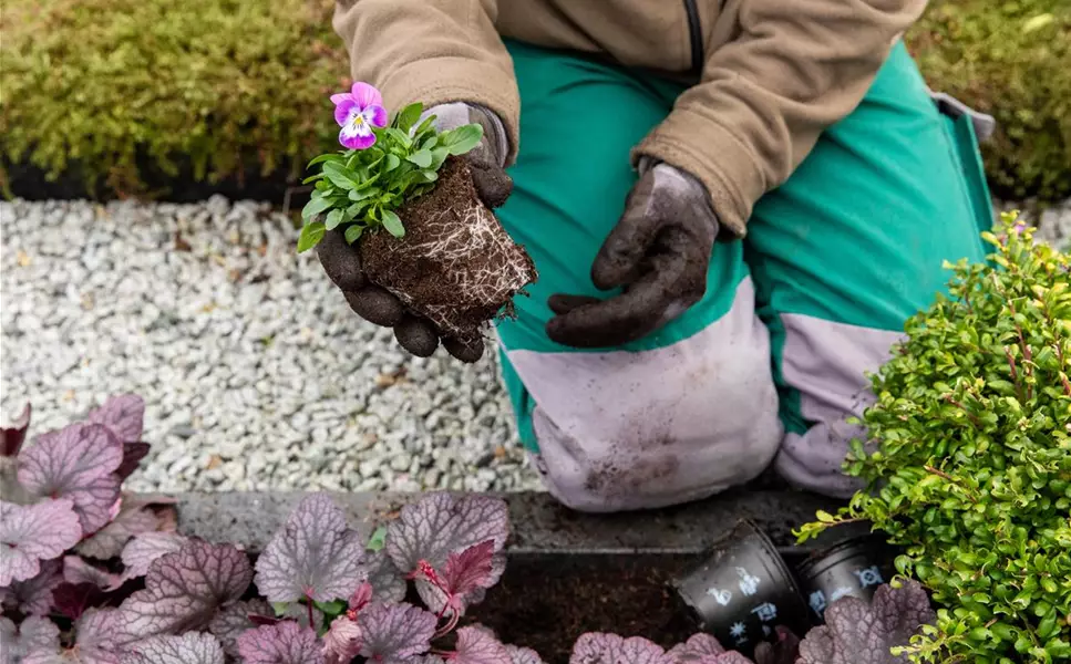 Kiefl's Friedhofsgärtnerei - Grabanlage und -pflege Kiefl's Friedhofsgärtnerei - Grabanlage und -pflege