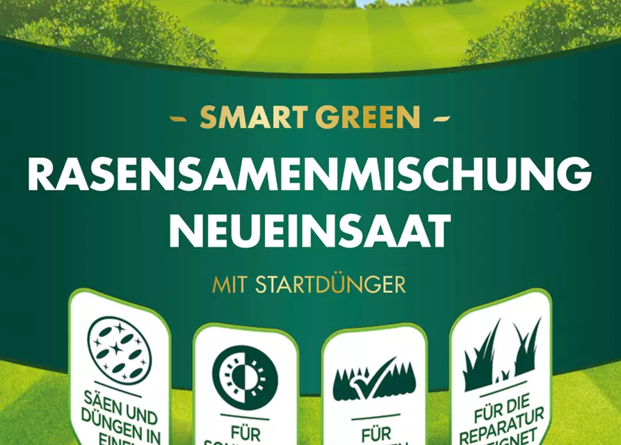 Westland Rasensamenmischung Neueinsaat "Smart Green"