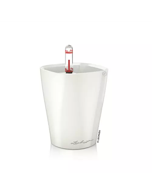 LECHUZA MINI-DELTINI