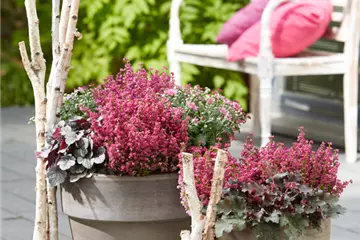 WIR KöNNEN FARBE! WIR KöNNEN FARBE!