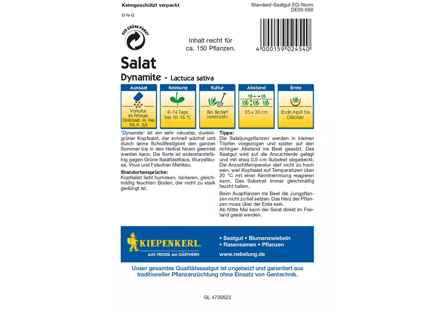 Kopfsalat 'Dynamite'
