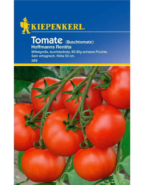 Buschtomate 'Hoffmanns Rentita'