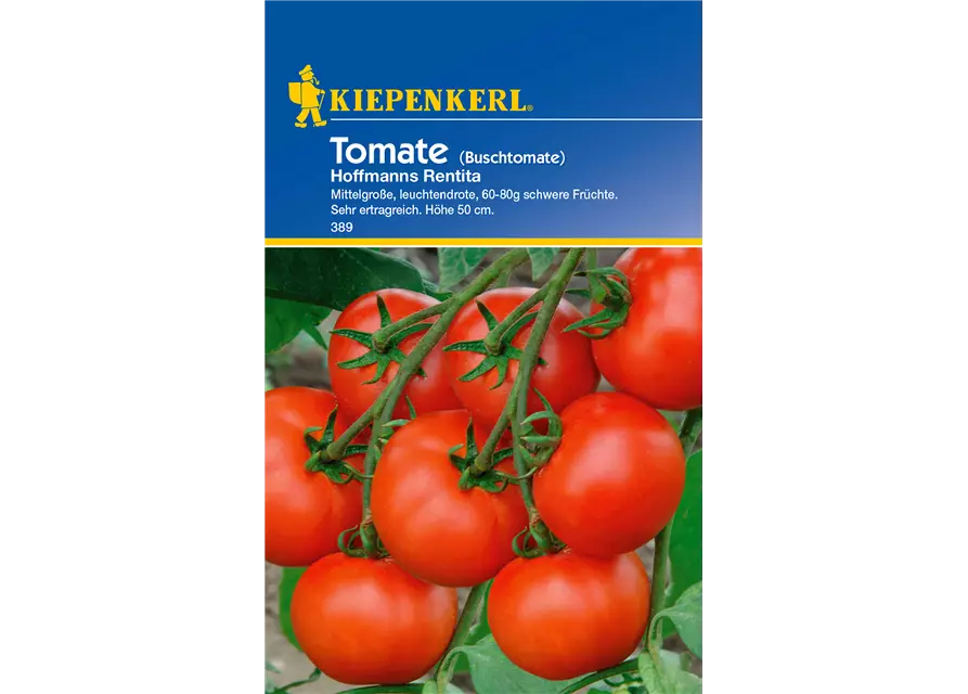 Buschtomate 'Hoffmanns Rentita'