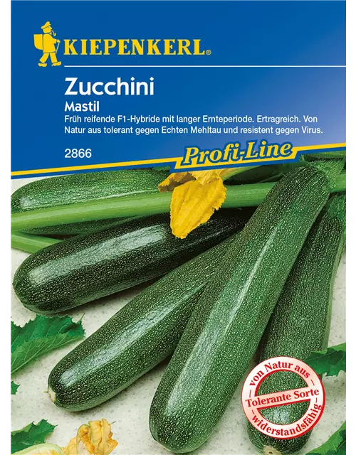 Zucchini 'Mastil'
