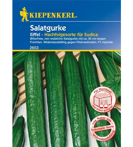 Salatgurke 'Eiffel'