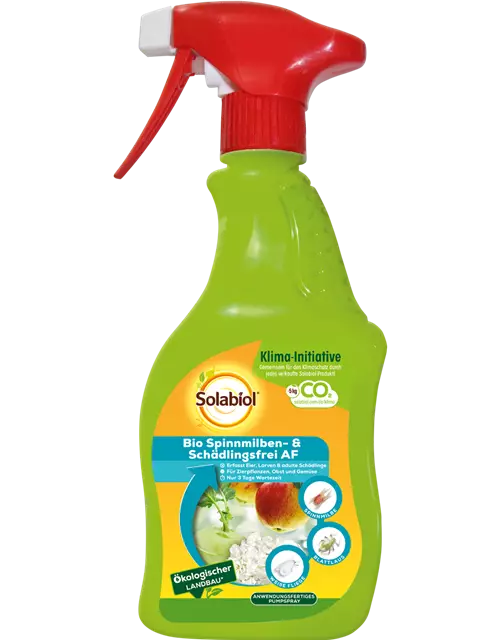 Solabiol® Bio Spinnmilben u. Schädlingsfrei AF