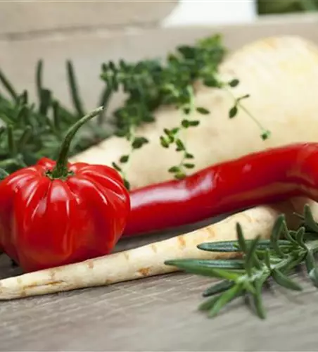 Habanero 'Calita® Red'