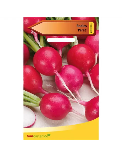 Radieschen 'Parat'