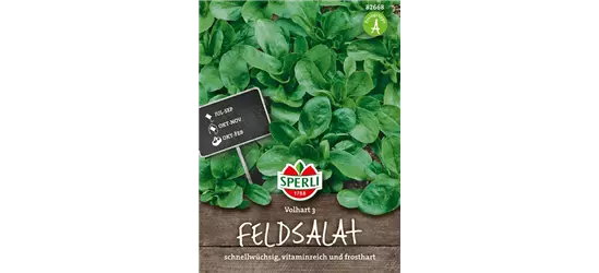Feldsalat 'Vollhart 3'