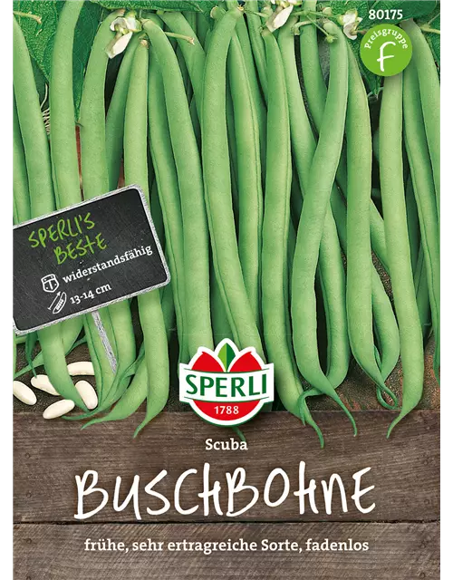 Buschbohne 'Scuba'