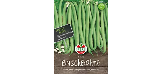 Buschbohne 'Scuba'