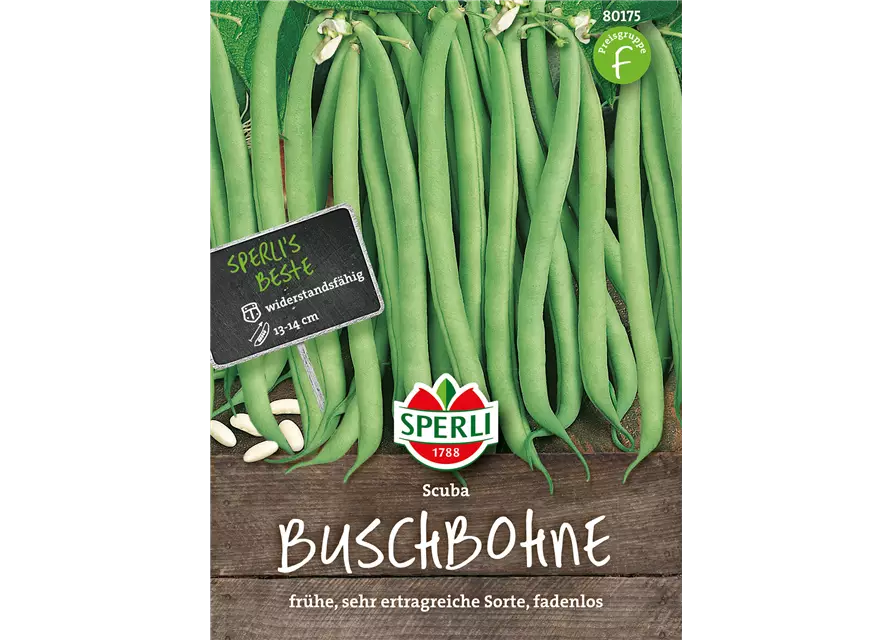 Buschbohne 'Scuba'