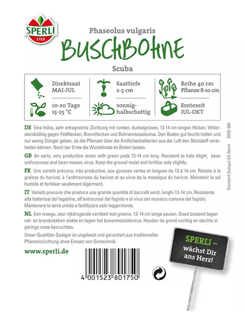 Buschbohne 'Scuba'