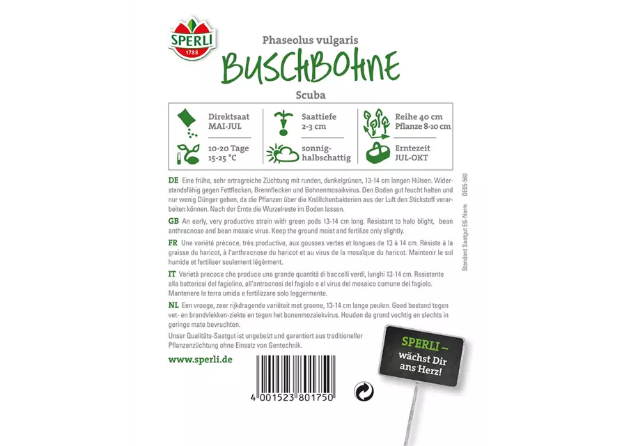 Buschbohne 'Scuba'