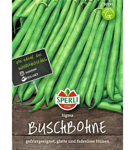 Buschbohne 'Sigma'