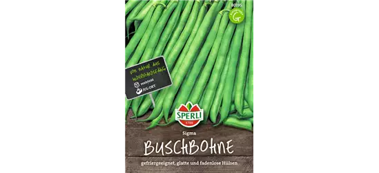 Buschbohne 'Sigma'