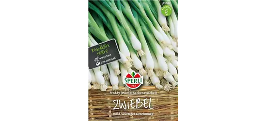 Winterzwiebel 'Freddy'