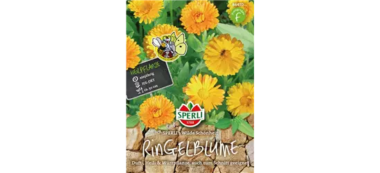Ringelblume 'Wilde Schönheit'