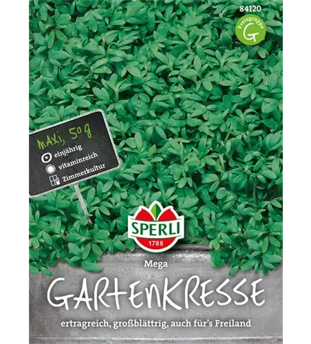 Großblättrige Gartenkresse 'Mega'