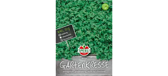 Großblättrige Gartenkresse 'Mega'