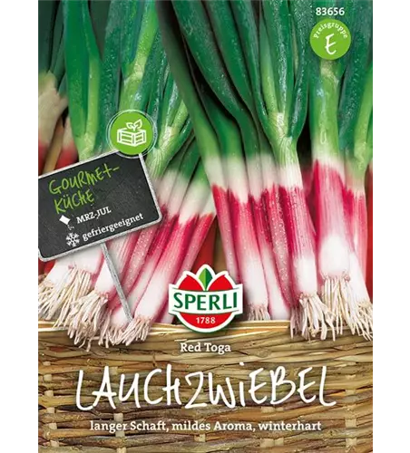 Lauchzwiebel 'Red Toga'
