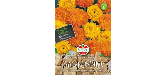 Ringelblume 'Zwerg Bonbon Mischung'