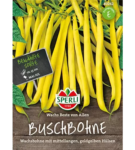 Buschbohne 'Wachs Beste von Allen'