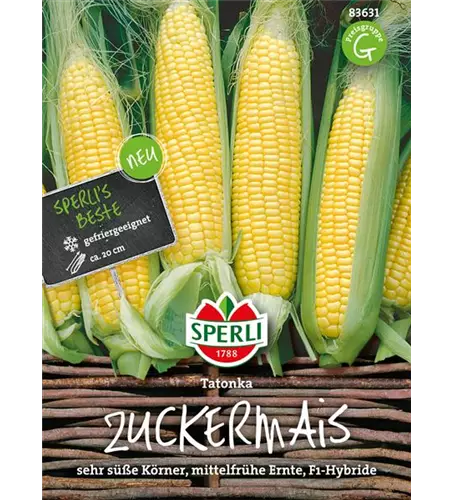 Zuckermais 'Tatonka F1'