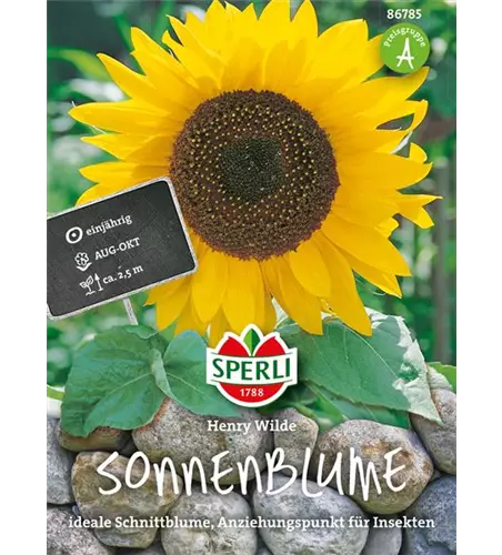Sonnenblume 'Henry Wilde'