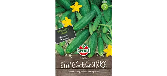 Gurke 'Libelle F1'