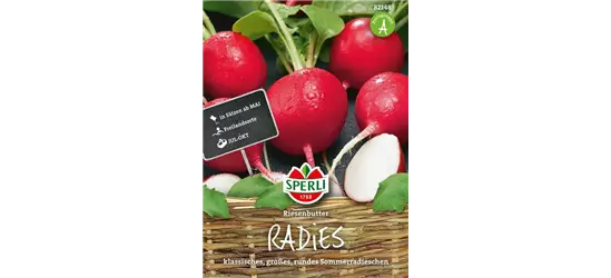 Radieschen 'Riesenbutter'