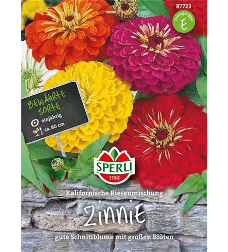 Garten-Zinnie 'Kalifornische Riesesn'