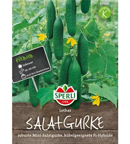 Salatgurke 'Lothar F1'