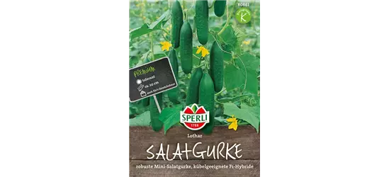 Salatgurke 'Lothar F1'