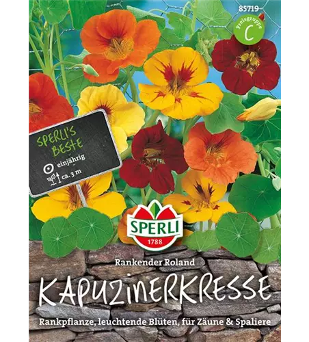 Kapuzinerkresse 'Rankender Roland'