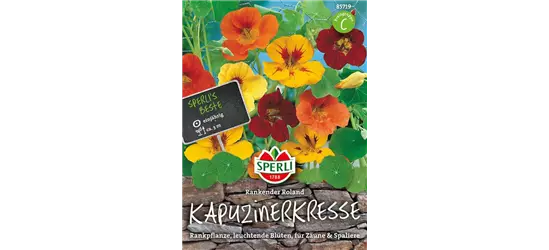 Kapuzinerkresse 'Rankender Roland'
